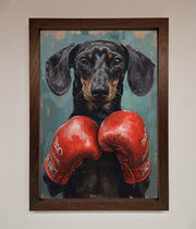 Sausage Dog Boxing Framed Print-4