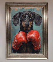 Sausage Dog Boxing Framed Print-15