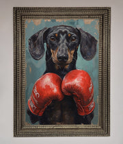 Sausage Dog Boxing Framed Print-11