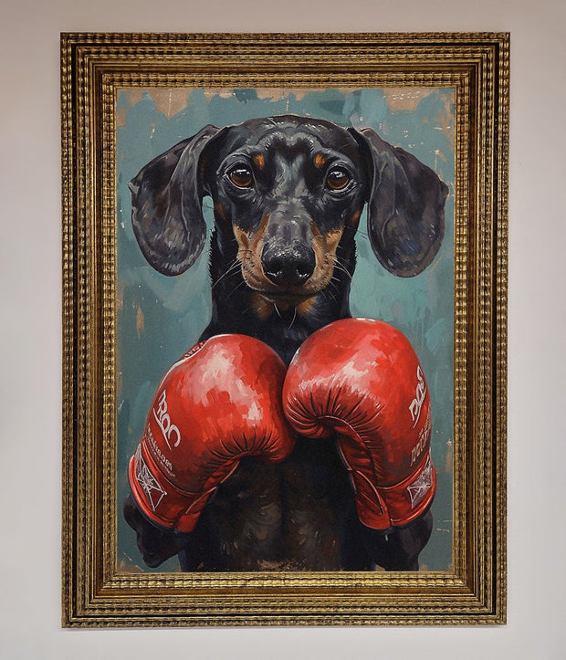 Sausage Dog Boxing Framed Print-10