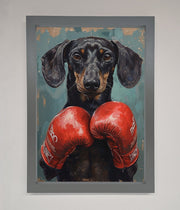 Sausage Dog Boxing Framed Print-3