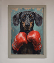 Sausage Dog Boxing Framed Print-2