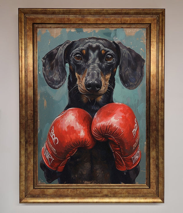 Sausage Dog Boxing Framed Print-13