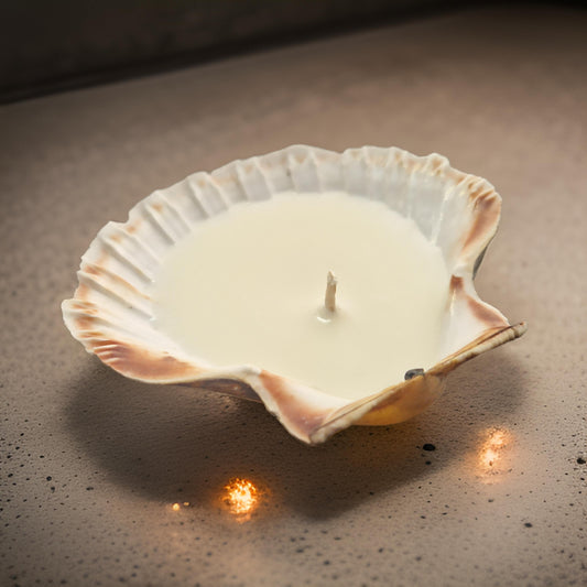 Scallop Shell Candles | Amber & Rock Salt-0