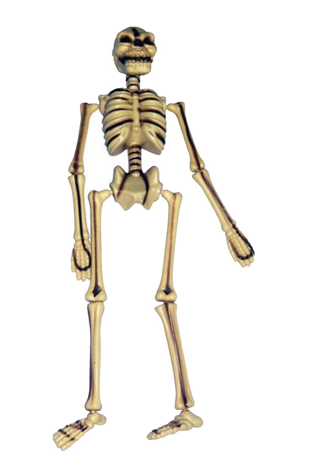 Skeleton Hanging 95cm-0