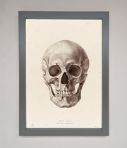 Skull Science Framed Poster-3
