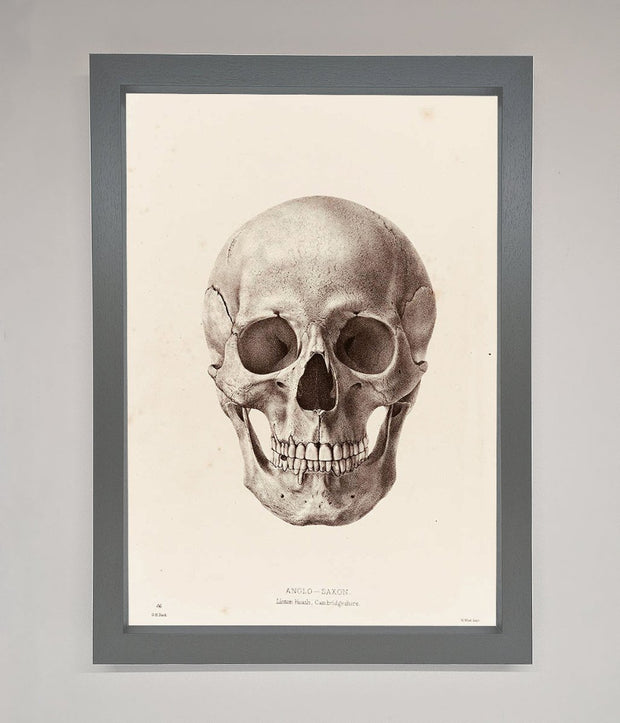 Skull Science Framed Poster-3