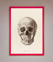 Skull Science Framed Poster-13