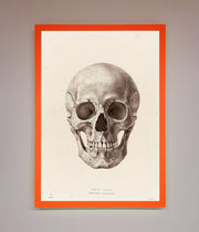 Skull Science Framed Poster-10