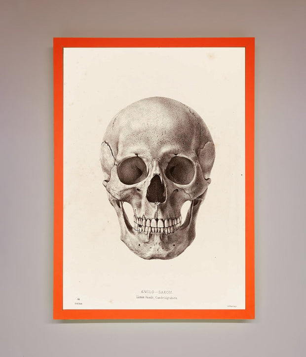 Skull Science Framed Poster-10