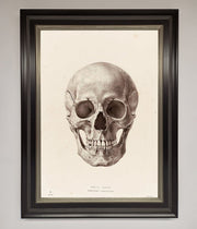 Skull Science Framed Poster-8