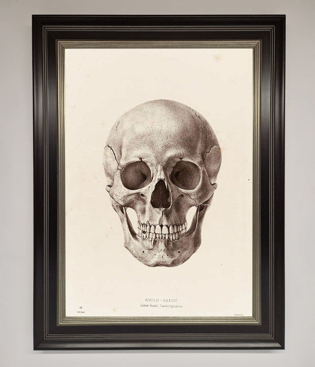 Skull Science Framed Poster-8
