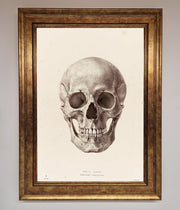 Skull Science Framed Poster-7