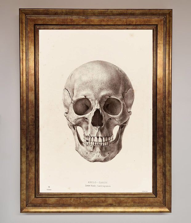 Skull Science Framed Poster-7