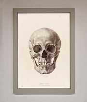 Skull Science Framed Poster-0