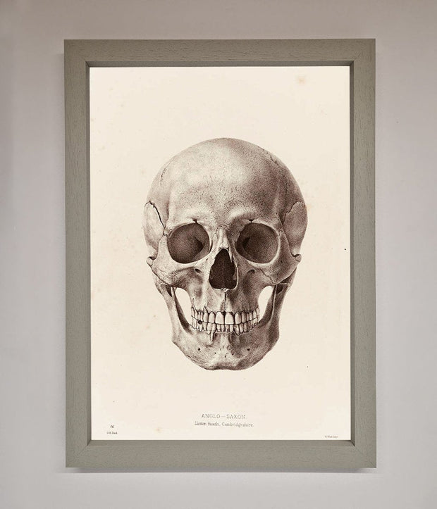 Skull Science Framed Poster-0