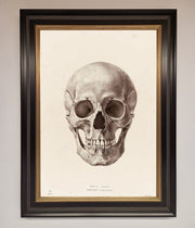 Skull Science Framed Poster-9