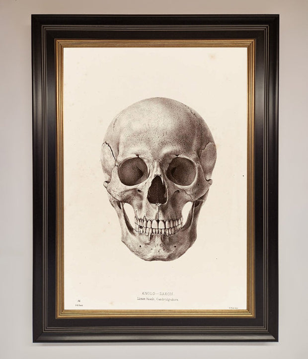 Skull Science Framed Poster-9