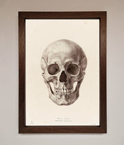 Skull Science Framed Poster-4
