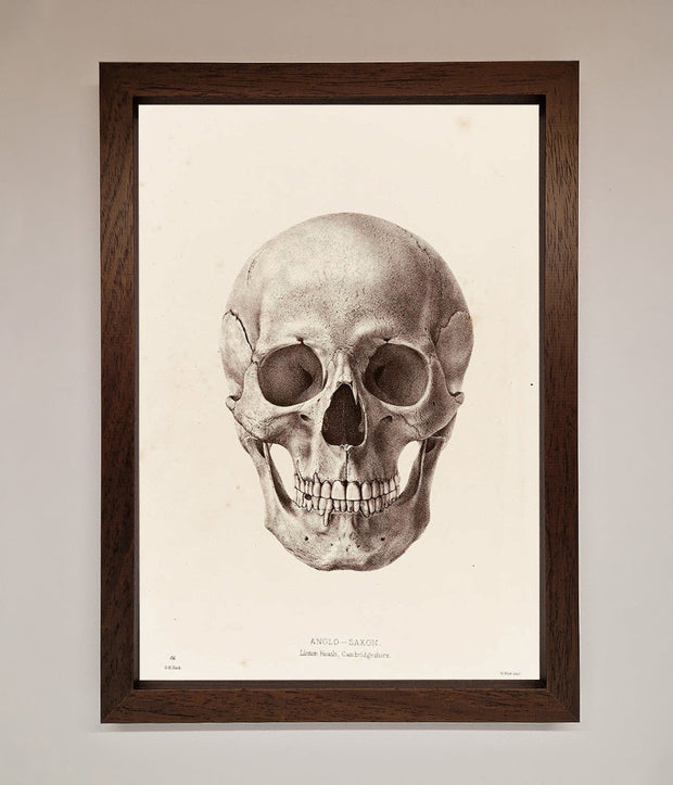 Skull Science Framed Poster-4