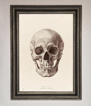Skull Science Framed Poster-17