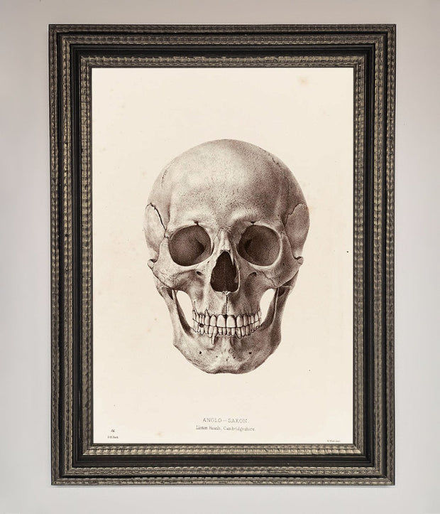 Skull Science Framed Poster-17