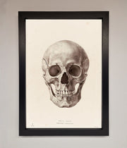 Skull Science Framed Poster-1