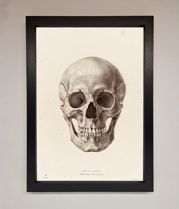Skull Science Framed Poster-1