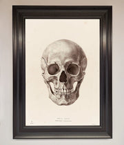 Skull Science Framed Poster-6