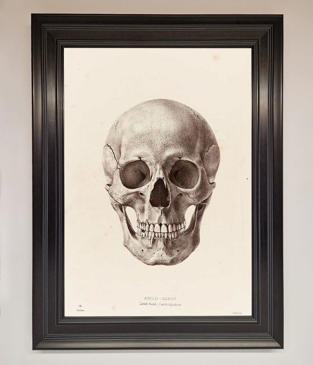 Skull Science Framed Poster-6