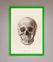 Skull Science Framed Poster-11