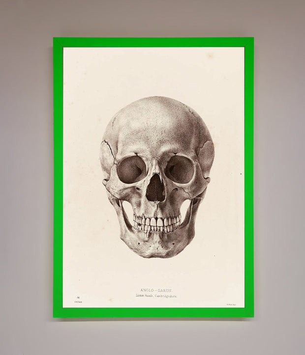 Skull Science Framed Poster-11