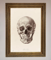 Skull Science Framed Poster-15