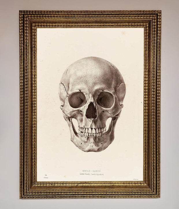 Skull Science Framed Poster-15