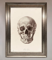 Skull Science Framed Poster-5