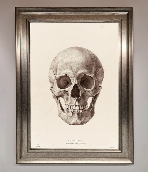 Skull Science Framed Poster-5