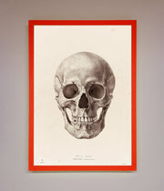 Skull Science Framed Poster-14