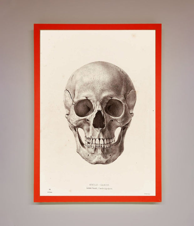 Skull Science Framed Poster-14