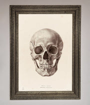 Skull Science Framed Poster-16