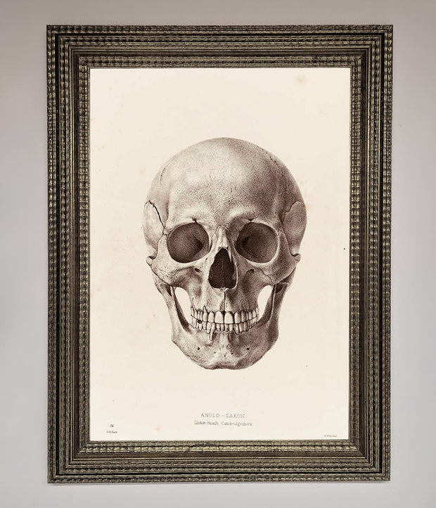 Skull Science Framed Poster-16