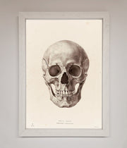 Skull Science Framed Poster-2