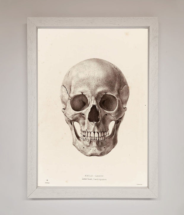 Skull Science Framed Poster-2