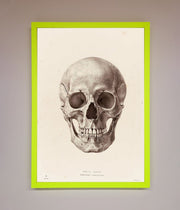 Skull Science Framed Poster-12