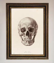 Skull Science Framed Poster-18
