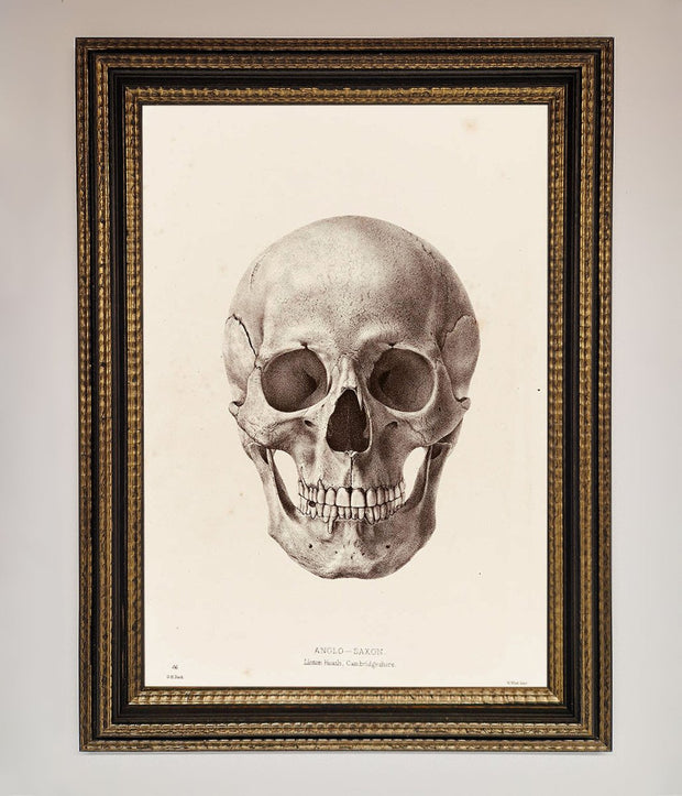 Skull Science Framed Poster-18