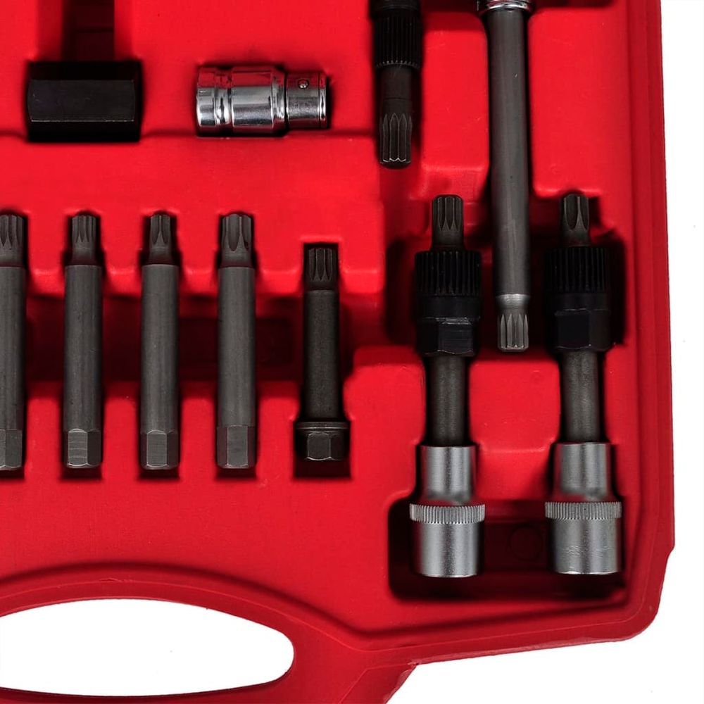 vidaXL 22 pcs Alternator Freewheel Removal Set