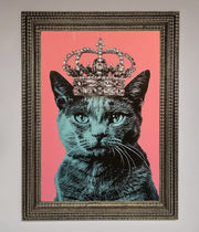 Your Majesty Cat Framed Print-16