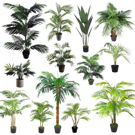 LARGE Tropical Palm Trees for Home or Office Display - Choice of Styles