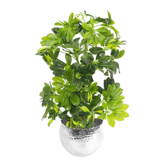 75cm Artificial Arboricola Gold Capella Plant - Silver Metal Planter