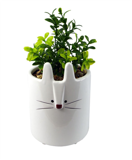 Ceramic White Rabbit Planter - 15cm